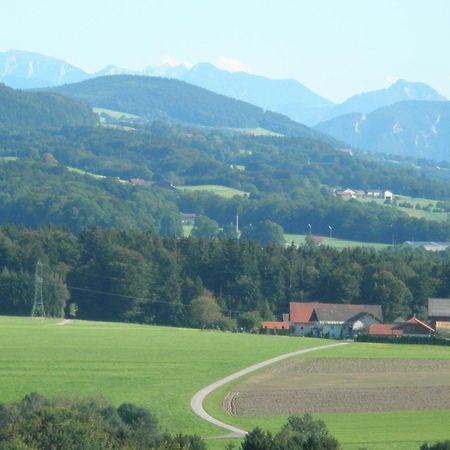 Landgasthof Franz Josef Strasswalchen Exterior foto